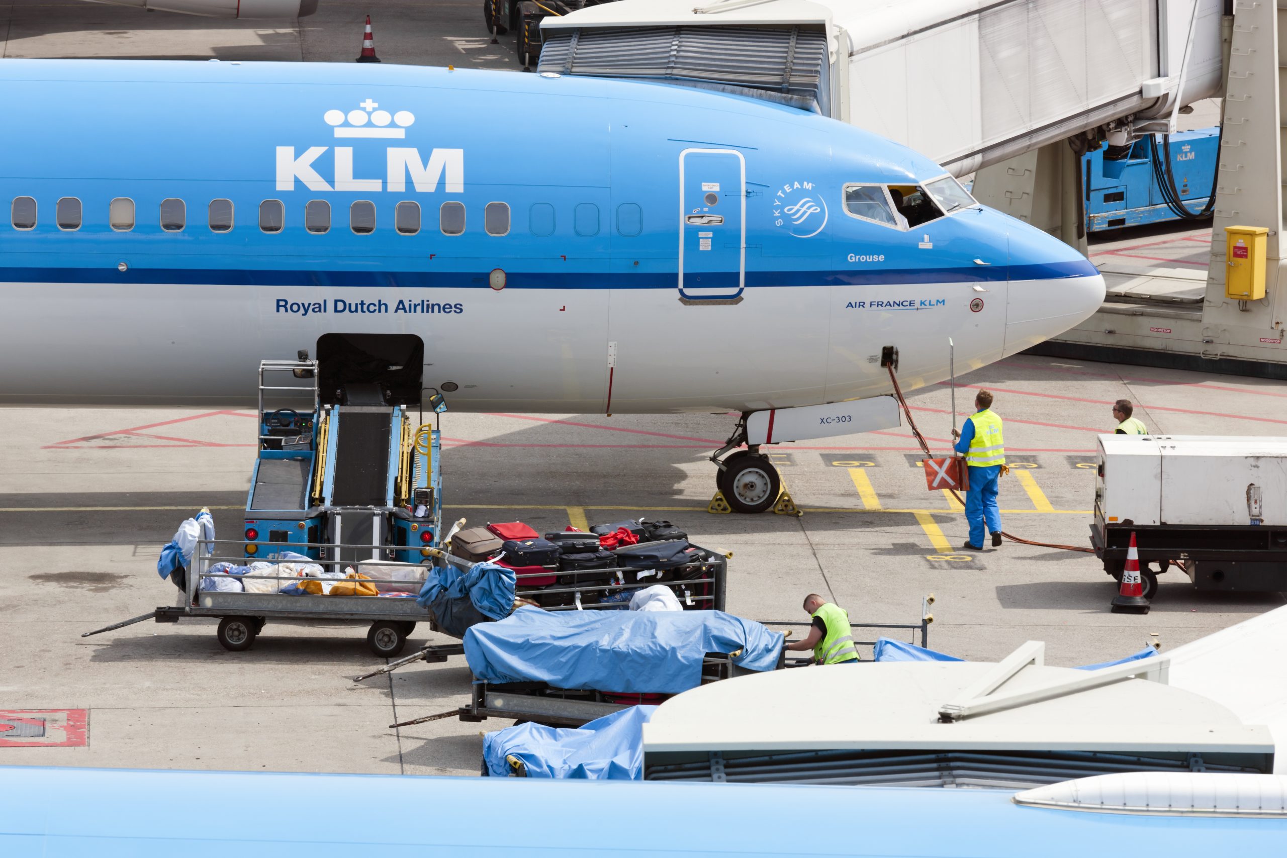 Cabin Search training